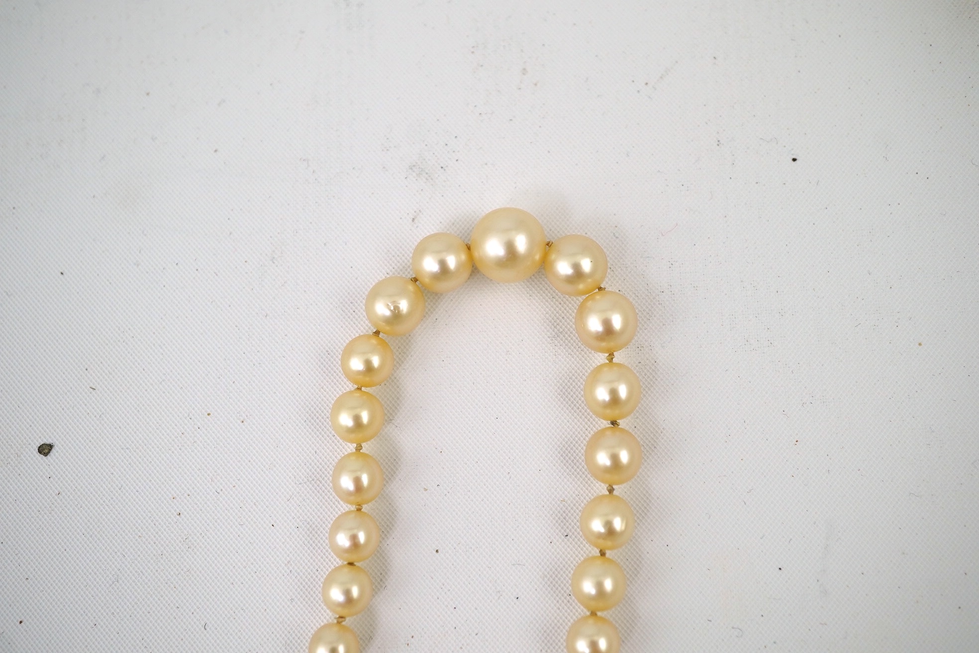 A single strand graduated cultured pearl necklace, with diamond cluster set white gold clasp